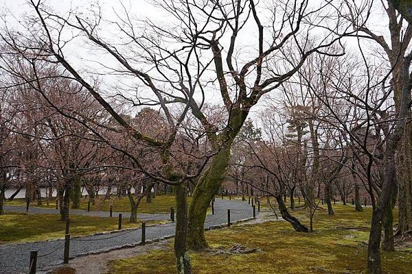 B09 東福寺通天橋、開山堂、普門院 01.jpg