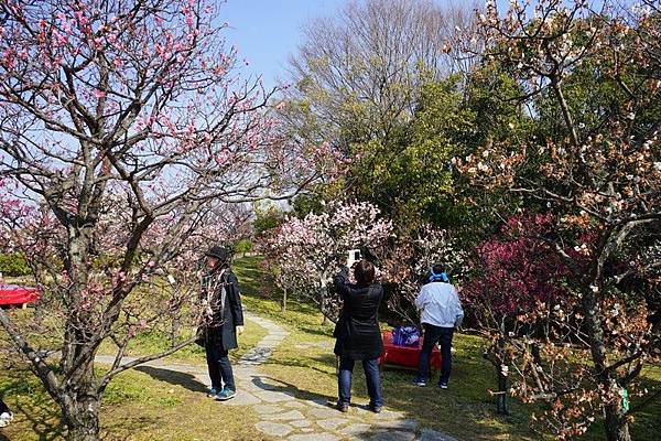 D02 梅小路公園 04.jpg