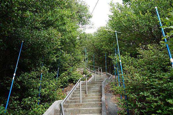 B24 小瀨石鎚神社 06.jpg