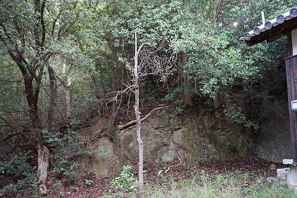 C13 小豆島大山神社 07.jpg