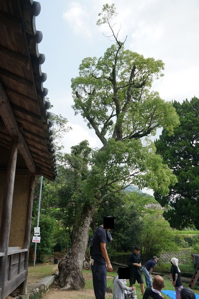 D16 春日神社 11.jpg