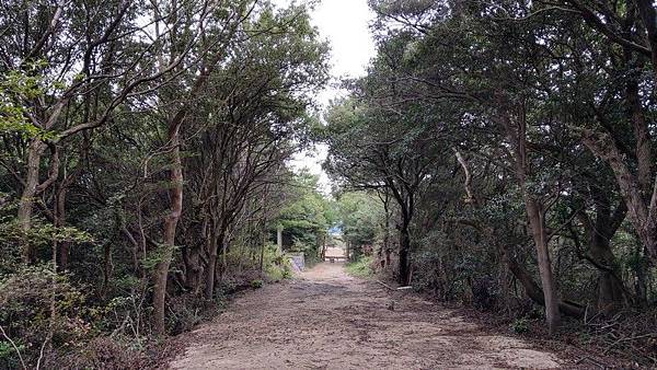 D30 伊喜末八幡神社 22.jpg