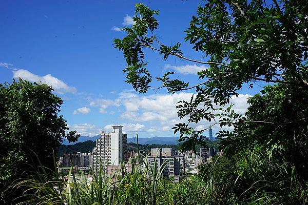 仙蹟岩（景興路登山口）13.jpg