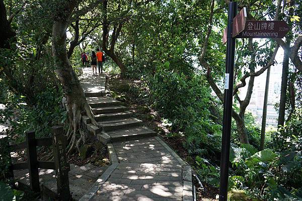 仙蹟岩（景興路登山口）21.jpg