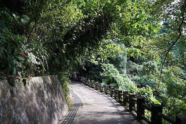 仙蹟岩（景興路登山口）58.jpg