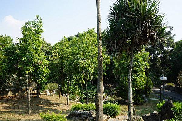 東石神社遺址 13.jpg