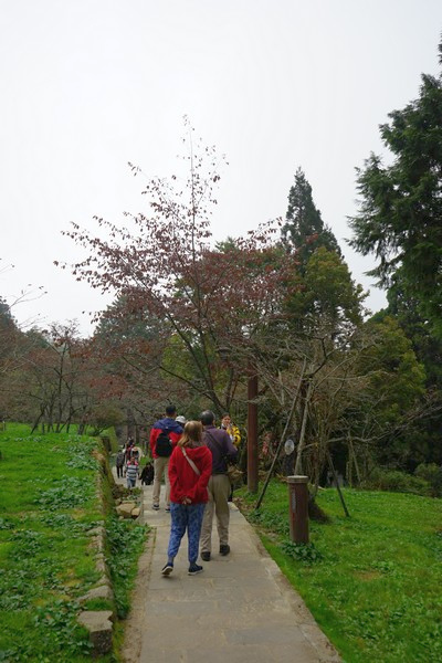 阿里山森林遊樂區巨木群棧道 01.jpg