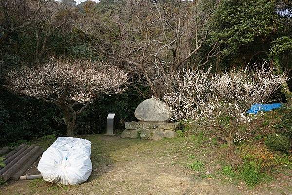 B04 志賀海神社 26.jpg