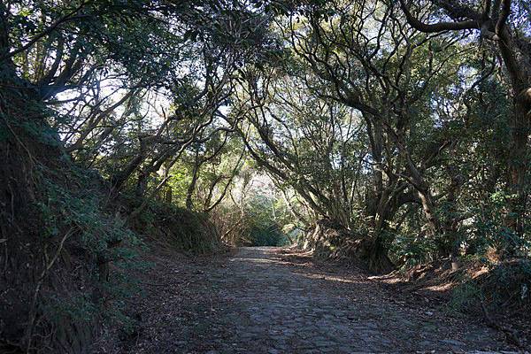 日本（8-2） - 福岡，志賀島