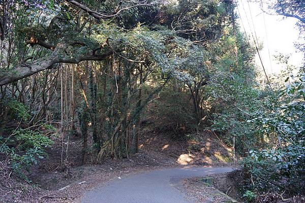 日本（8-2） - 福岡，志賀島