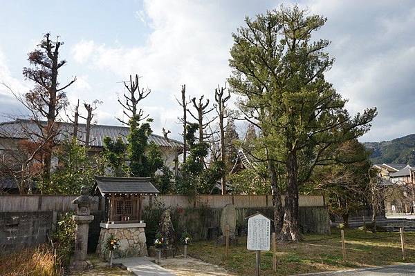 C14 太宰府大國神社 01.jpg