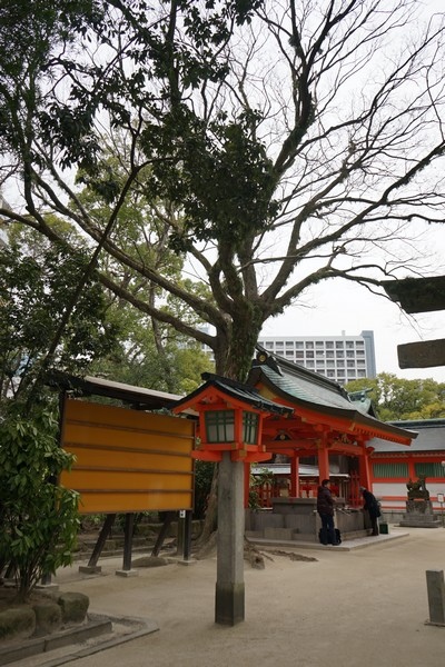 D01 住吉神社 13.jpg