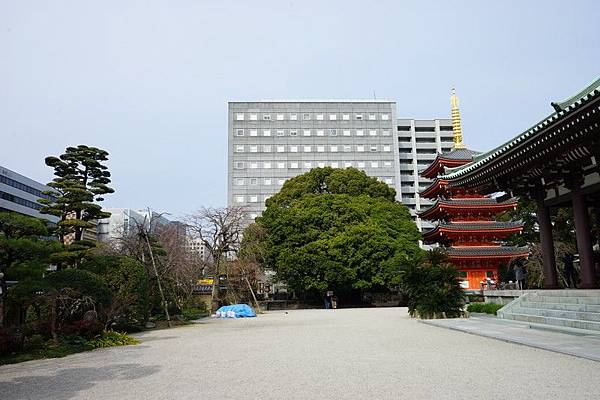 D06 博多東長寺 18.jpg