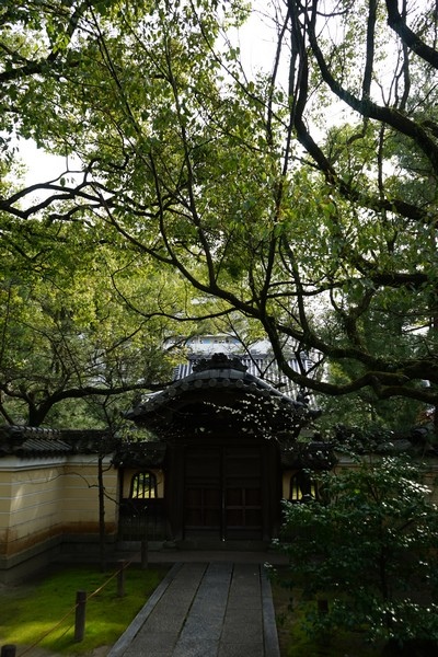 D08 博多承天寺 05.jpg