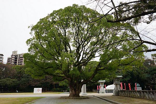 D17 福岡縣護國神社 08.jpg