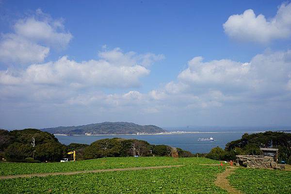 E11 能古島海島公園 68.jpg