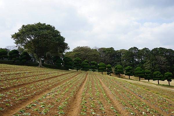 E12 能古島海島公園 - 槌球場 11.jpg