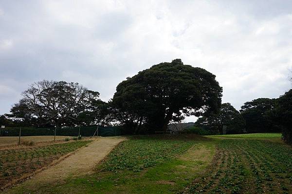 E12 能古島海島公園 - 槌球場 22.jpg