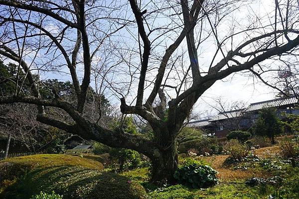 E11 能古島海島公園 11.jpg