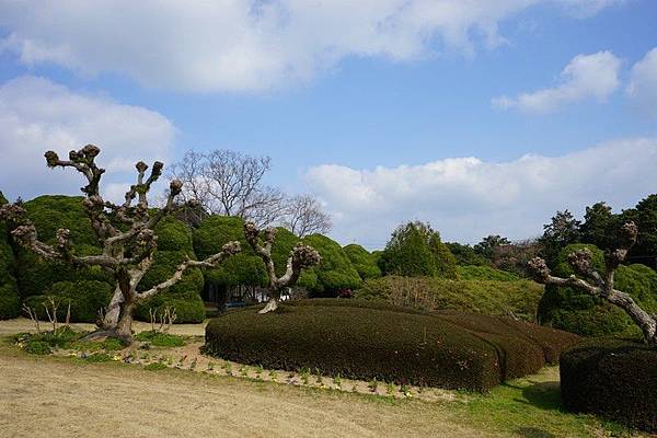 E11 能古島海島公園 26.jpg