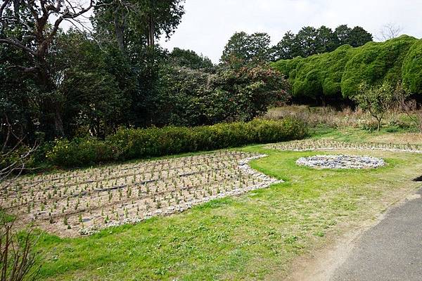 E11 能古島海島公園 20.jpg