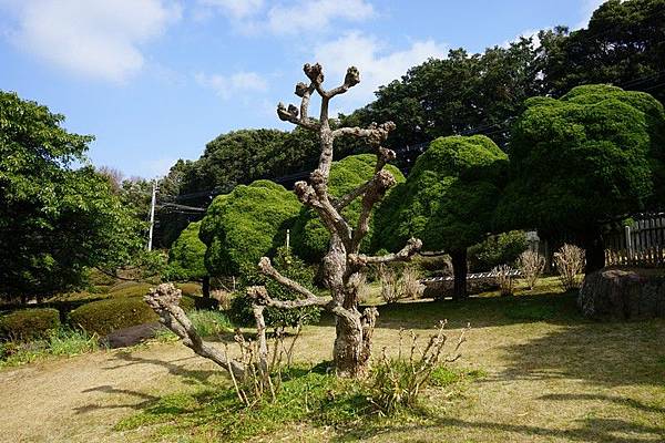 E11 能古島海島公園 17.jpg