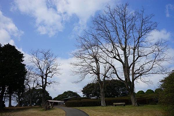 E11 能古島海島公園 23.jpg