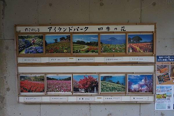 E11 能古島海島公園 52.jpg