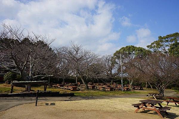 E11 能古島海島公園 56.jpg