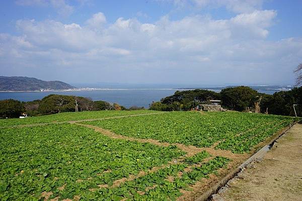 E11 能古島海島公園 60.jpg