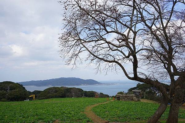 E11 能古島海島公園 72.jpg