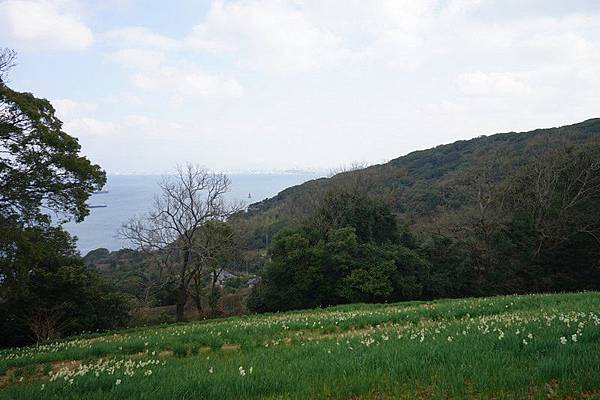 E11 能古島海島公園 79.jpg