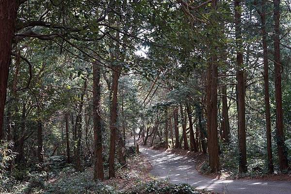 E18 能古島鹿垣 01.jpg E18 能古島鹿垣 01.jpg