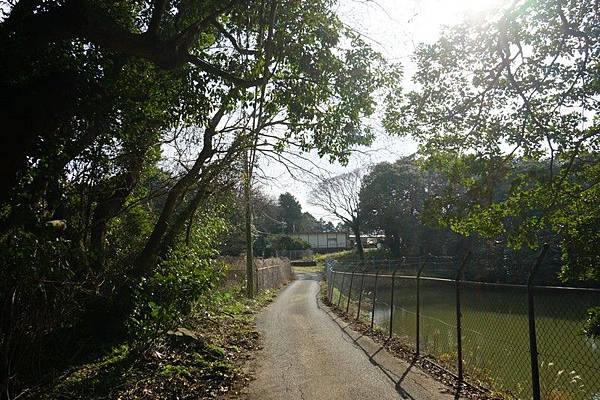 E19 能古島早田古墳 01.jpg E19 能古島早田古墳 01.jpg