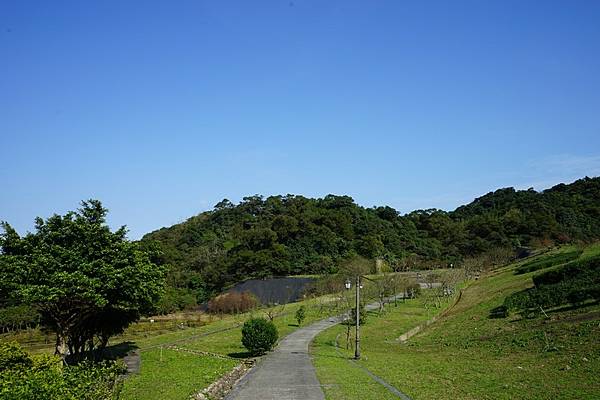 天外天環保公園 12.jpg