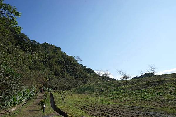 天外天環保公園 21.jpg