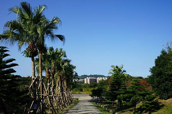 天外天環保公園 46.jpg