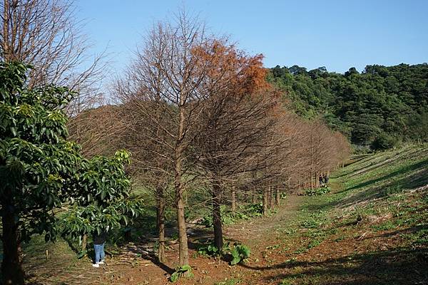 天外天環保公園 47.jpg