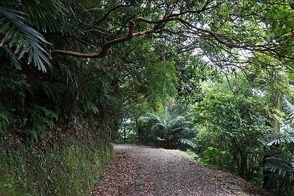 深澳坑側步道 11.jpg