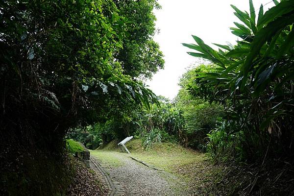 深澳坑側步道 17.jpg