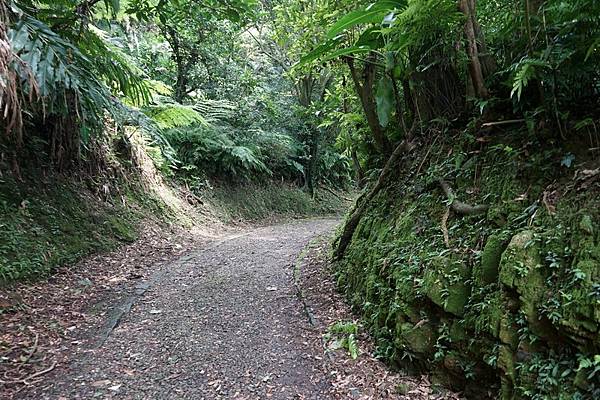 深澳坑側步道 16.jpg