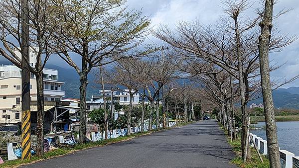 下埔綠色隧道 01.jpg