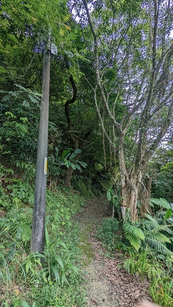 秀崎山登山步道 05.jpg