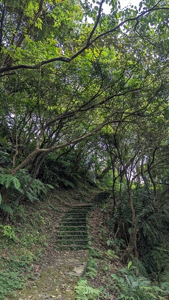 秀崎山登山步道 07.jpg