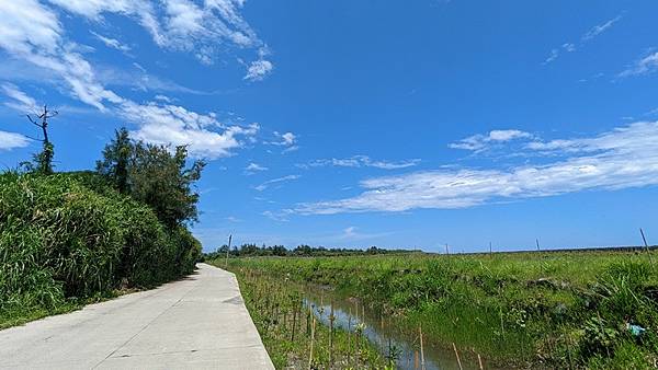 蘭陽溪口水鳥保護區 01.jpg