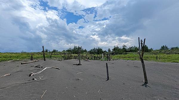 蘭陽溪口水鳥保護區 08.jpg