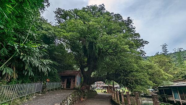 內城茄苳公廟 01.jpg 內城茄苳公廟 01.jpg