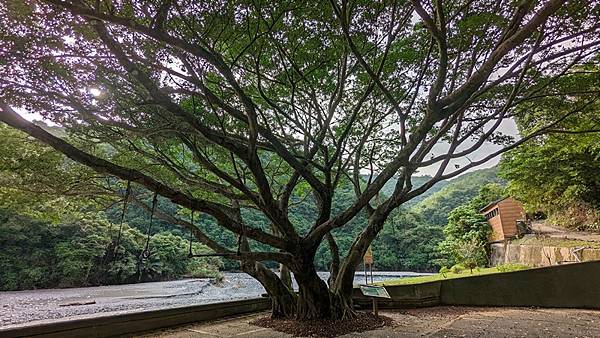 武荖坑風景區 90.jpg