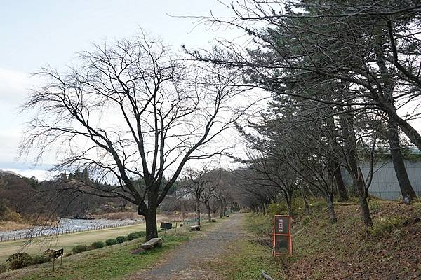 B23 水上町清流公園 29.jpg