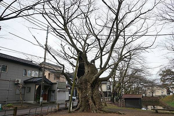 C07 金峯神社 14.jpg